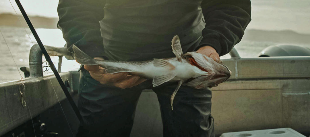groundfish oregon rockfish Terry Thompson commercial fisherman