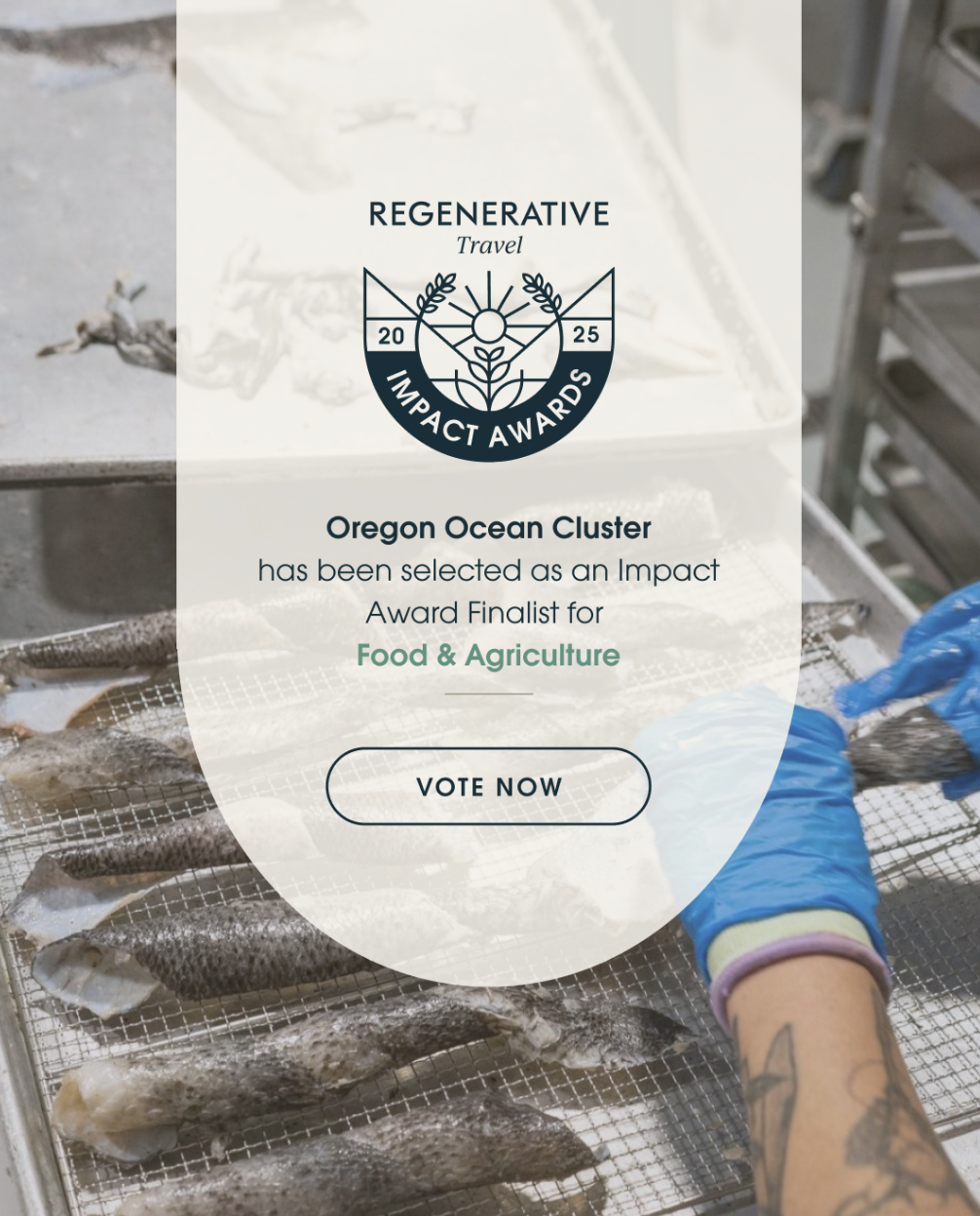 Screenshot 2025 12 08 at 2 50 04 PM