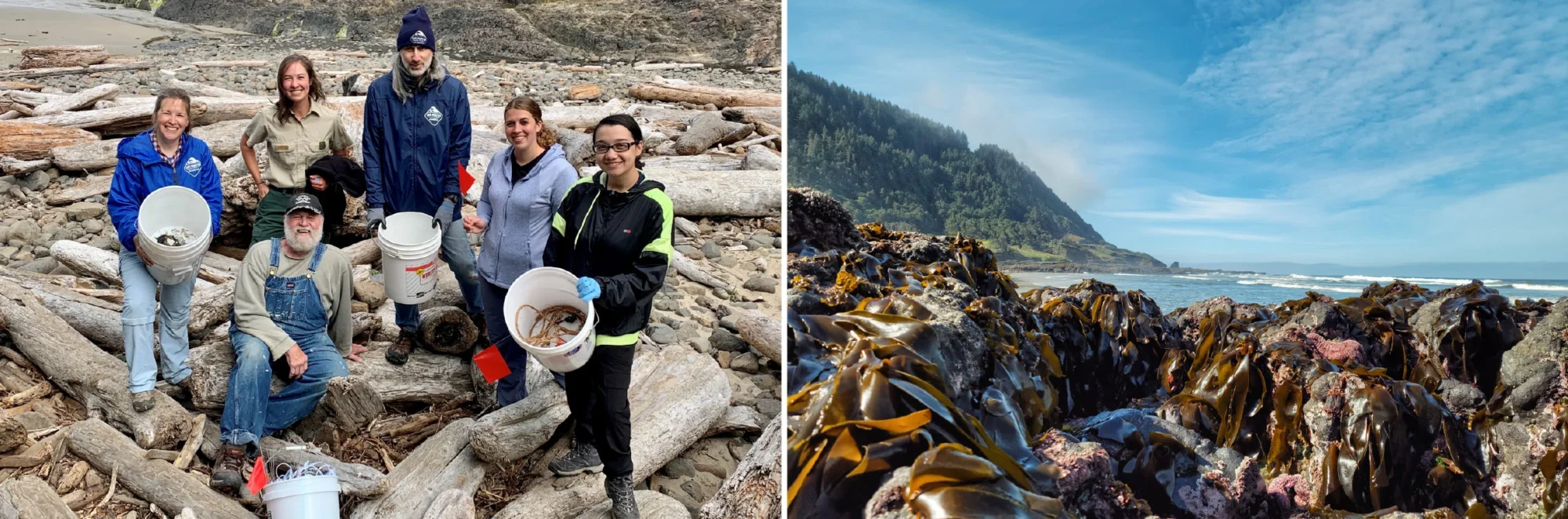 OregonCoastVisitorsAssociations Web FullwithImage 6