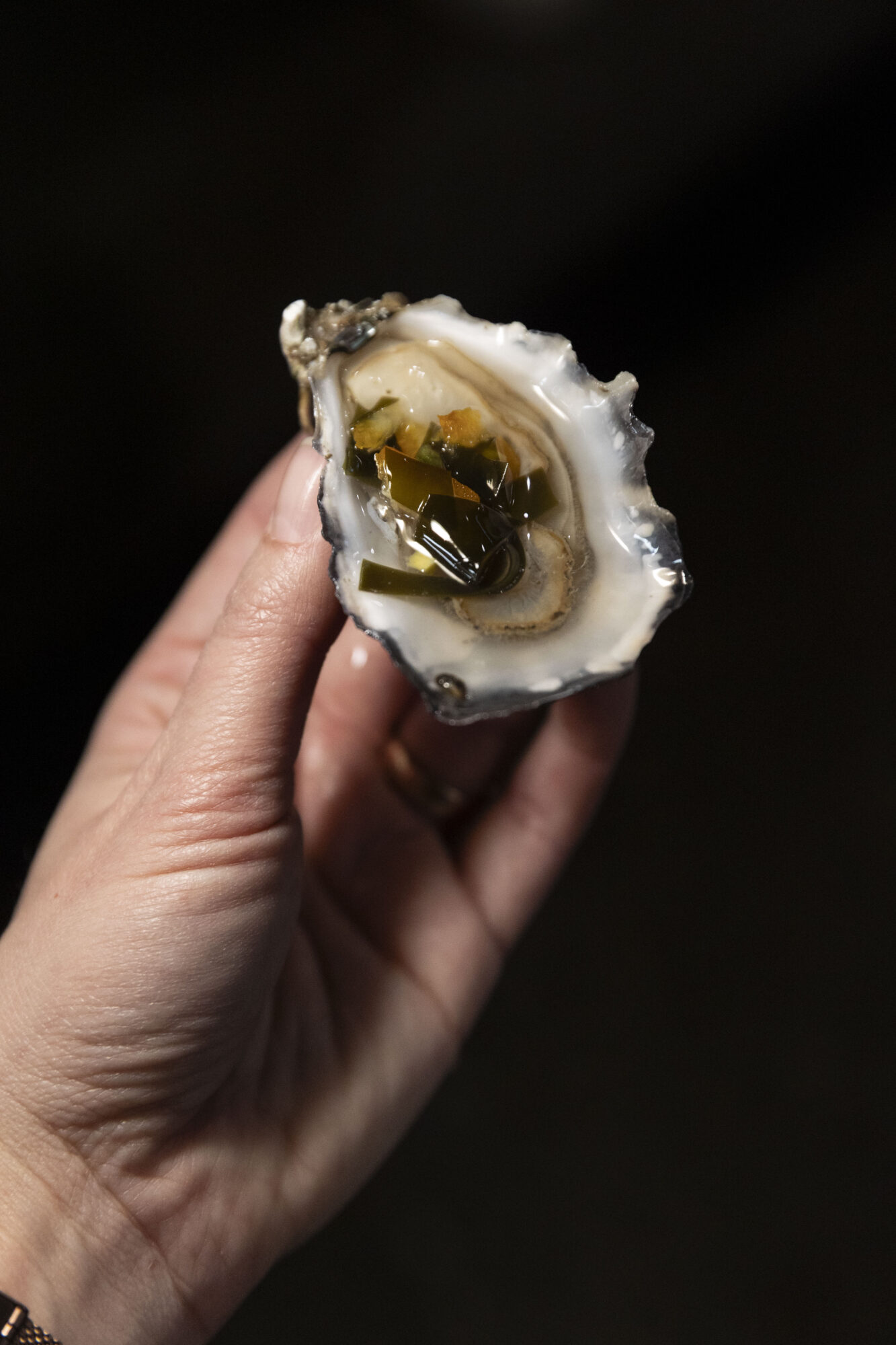 260201 Searaginf Speakeasy first edit photos by Rachelle Hacmac 02