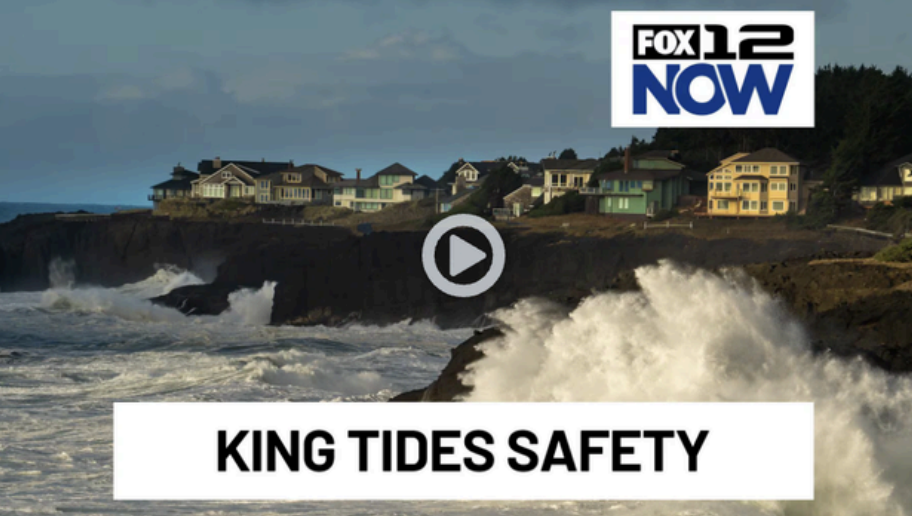 Screenshot 2026 03 18 at 11 51 16 AM