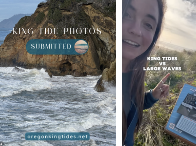 Screenshot 2026 03 18 at 11 51 28 AM