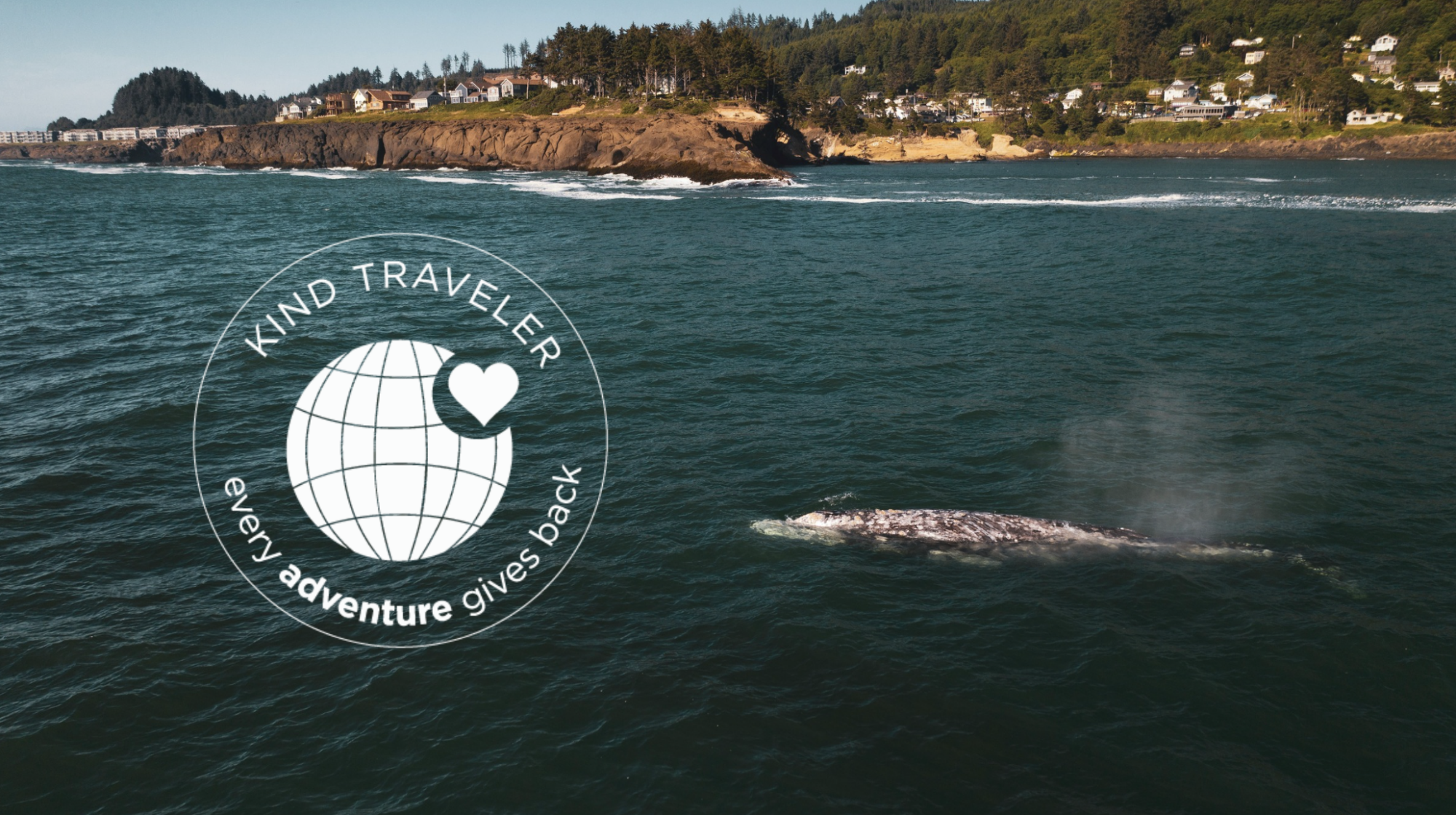 Screenshot 2026 03 25 at 10 47 42 AM